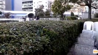 《风花雪月》免费完整版在线观看-动作